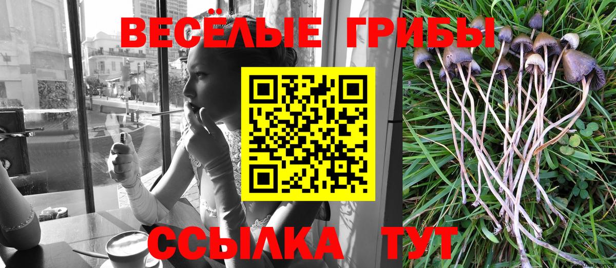 Галлюциногенные грибы MAGIC MUSHROOMS  Вход с VPN  Ступино 